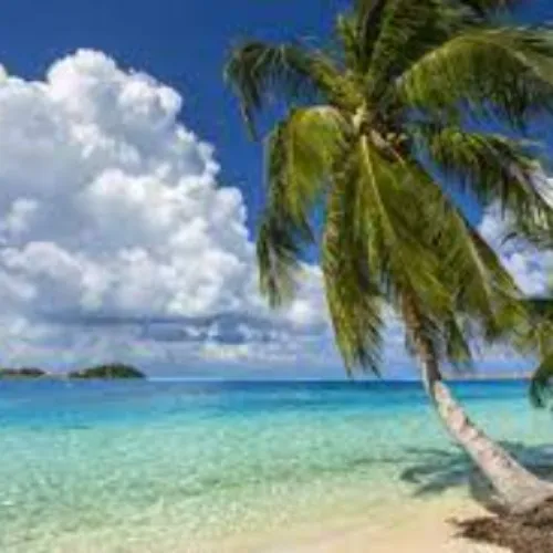Vacation