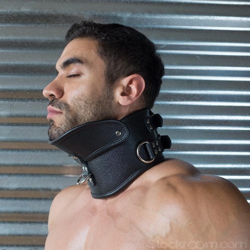 Deluxe Padded Leather Posture Collar w/ D Rings - L/XL