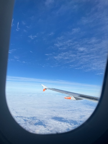 Flight Tickets ✈️ 