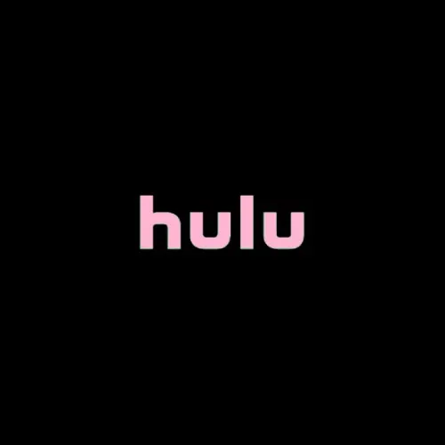 Hulu/Disney Subscription
