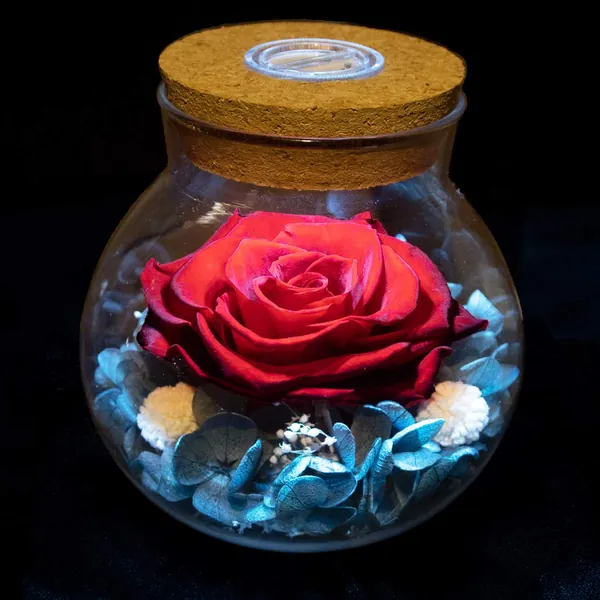 Preserved Real Roses with Colorful Mood Light Wishing Bottle,Eternal Rose，Never Withered Flowers,for Bedroom Party Table Decor, Anniversary,Valentine's,Mother's Day,a Gifts for Women (RED) - Red