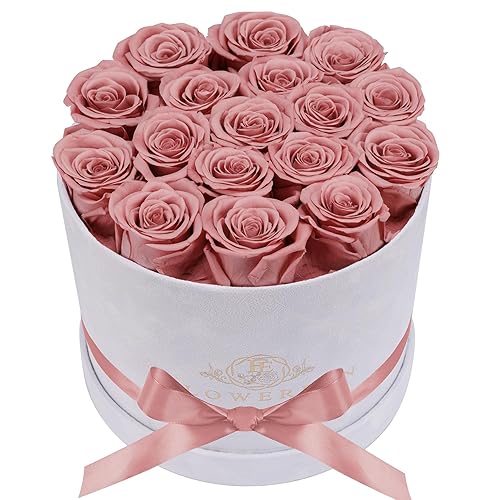 Forever Real Roses in Suede Box - 17-Piece Roses in a Box - Real Preserved Roses That Last Over a Year - Preserved Flowers for Delivery Prime - Valentine's Day, Birthday, Mother's Day (Dusty Rose) - Dusty Rose