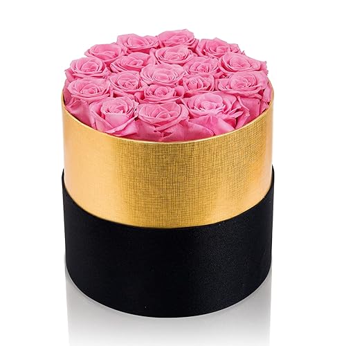 Perfectione Roses Forever Real Roses in a Box Preserved Rose That Last Up to 3 Years, Long-Lasting Rose Valentines Day Gifts for Her Birthday Gifts for Wife Mothers Day Flower (Pink) - Pink - Large
