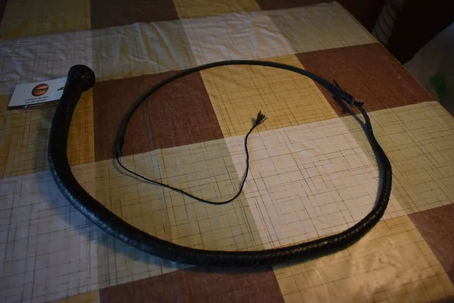 Snake whip