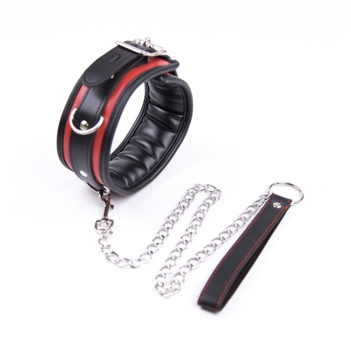 Dog Leash - Black Red Stripe Exterior