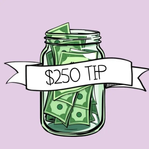 $250 Tip