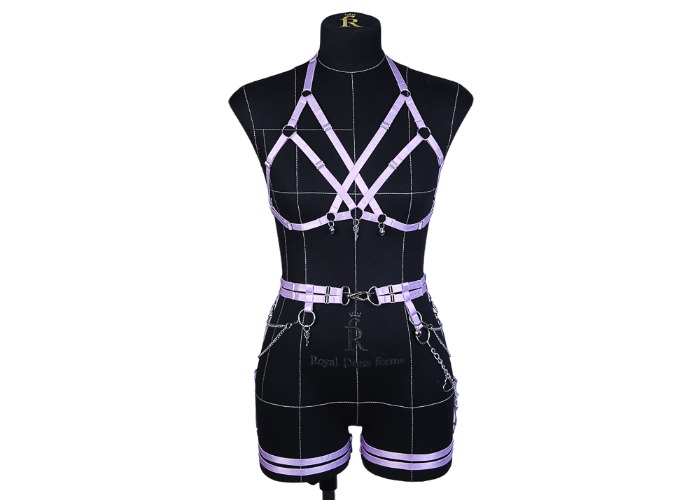Catzo Lavender belt and harness