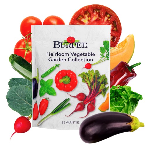 Burpee Heirloom Vegetable Seeds, Variety Pack with 35 Varieties of Plant Seeds, 30,000+ Garden Seeds - Mixed Non-GMO Seeds with Select Varieties of Lettuce, Beans, Tomatoes, Peppers, Squash and More - Best 35 Heirloom Vegetable Seeds