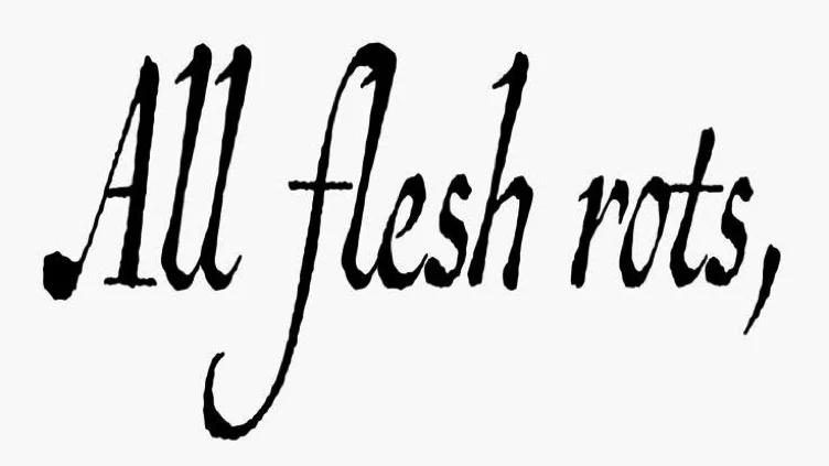 ִֶָ. ..𓂃 ࣪ ִֶָ🦇་༘࿐