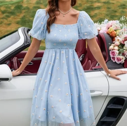 SHEIN VCAY Floral Embroidery Mesh Shirred Puff Sleeve Dress | SHEIN USA