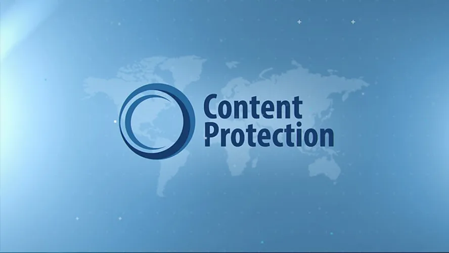 A Proffesional Protection