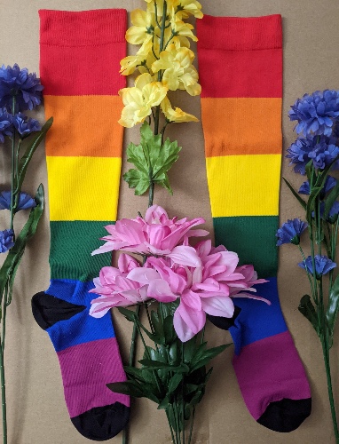 Pride Compression Socks - S/M / Original Pride
