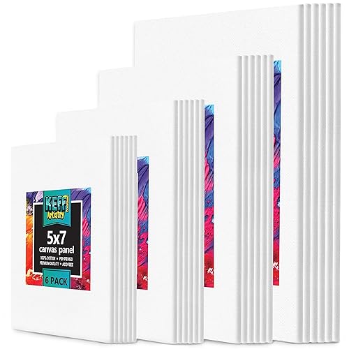 24-Pack Canvas for Painting