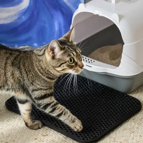 Macskaszőnyeg [Sinsay]