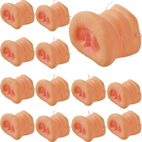 RONYOUNG 14PCS Pig Nose Pig Snout Costume Cosplay Pig Nose with Elastic Band for Halloween Party Supplies for Adults, Skin Color - 