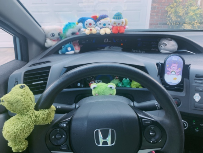 🚙 car insurance 🐸