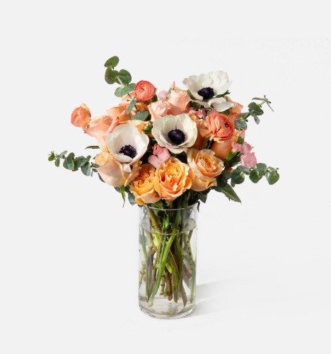 The Margot | Single