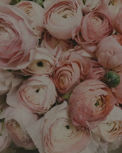 Flowers 🤍