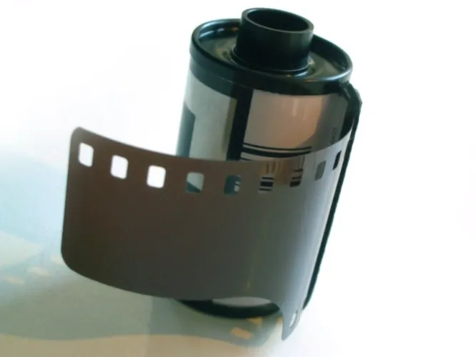 Roll of Film + Development