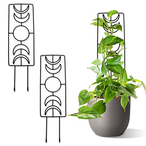 Moon Phase Houseplant Trellis
