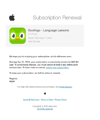 Duolingo Super subscription