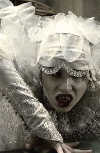 𝔐𝔬𝔫𝔱𝔥𝔩𝔶 𝔤𝔯𝔬𝔠𝔢𝔯𝔦𝔢𝔰