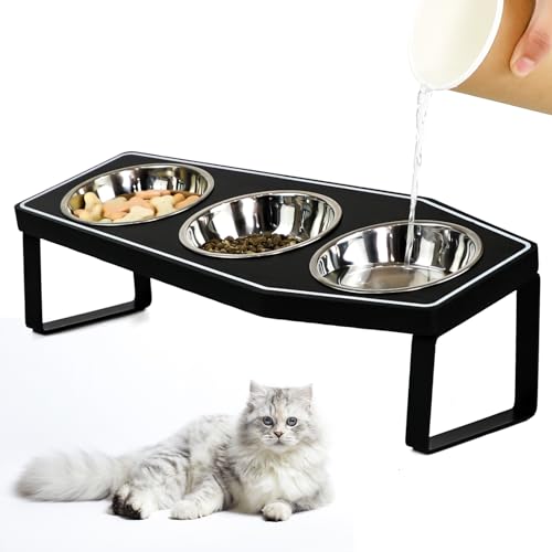 Gothic Cat Food Bowls Elevated
