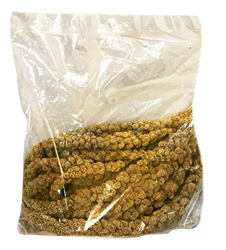 Nemeth Farms Worlds Freshest Sun-Dried Spray | Non-GMO and Pesticide Free (No Stems Only Edible Tops) | Healthy Bird Treat and Supplement for All Pet Birds Keets Cockatiels Finches - 1lb - 1 Pound (Pack of 1)