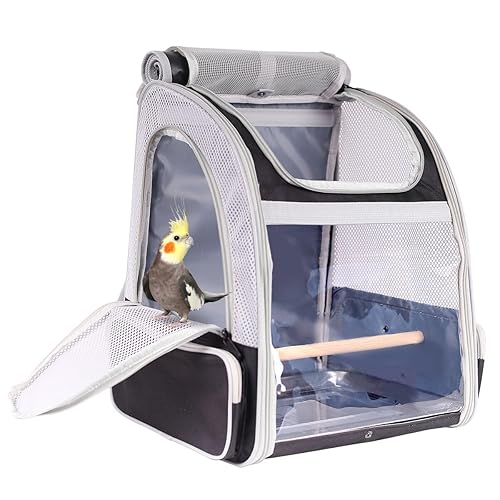 Bird Backpack Carrier with Stand Perch, Bird Travel Backpack for Hiking, Airline Approved Green Bird Backpack - Black - Bird Backpack