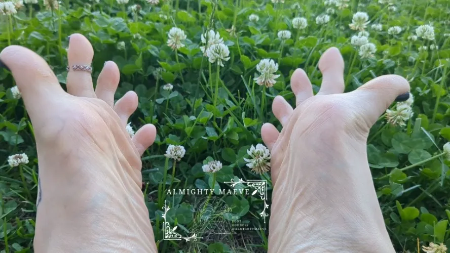 Full tank of gas ⛽