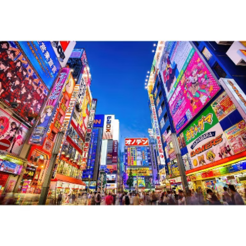 Toynk Evening In Akihabara Japan Puzzle For Adults And Kids | 1000 Piece Jigsaw Puzzle