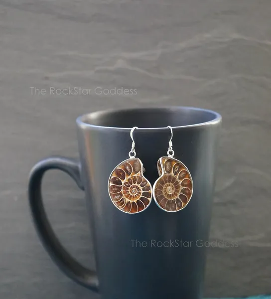 Fossile d’ammonite / Ammonite / Boucle d’oreille Ammonite / Bijoux Ammonite / Relique préhistorique / Fossile authentique