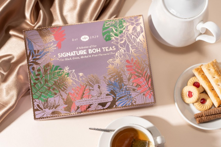 BOH Signature Tea Variety Packs, 48 Tea Bags | Default Title