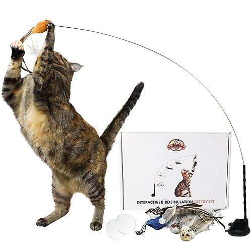 Whiskertons Interactive Bird Simulation Cat Toy Set, Cat Wand Toy with Self-Holding Suction Base, 5 Replacement Birds with Feathers & Bells, Realistic Bird Impression - Bird Toy Set With 5 Birds
