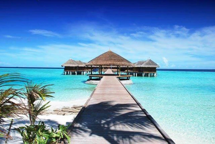Holiday