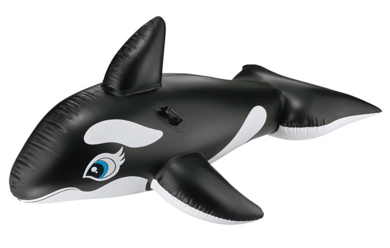 Whale Floatie