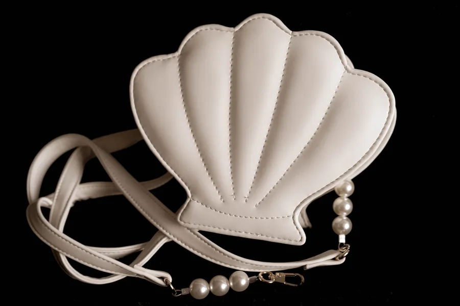 Pre-Order, Shellfish Pochette Bag Shoulder Bag Animal Crossing New Horizons ACNH Nintendo Switch  Gift