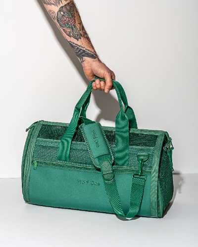 Travel Carrier | Spruce