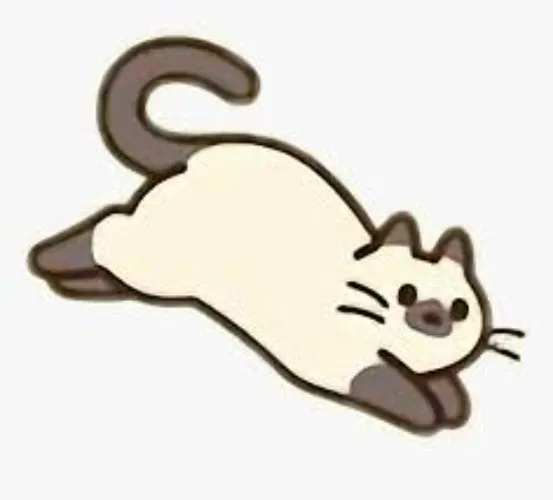 Cat Needs