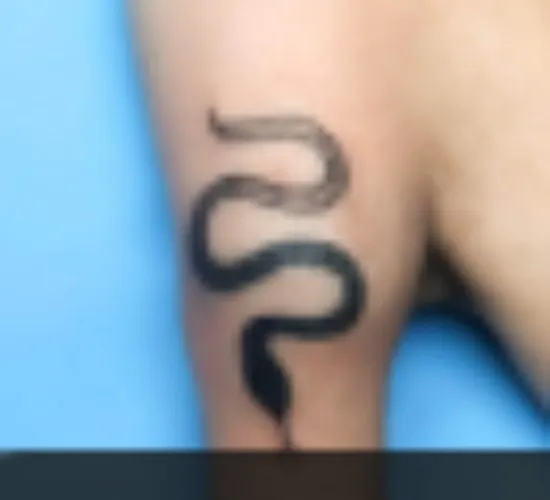snake tattoo