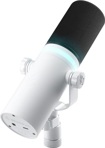 BEACN Light Dynamic USB Mic for PC | Professional Microphone for Podcast, Gaming Mic, Streaming Mic | Studio-Quality Desk Mic for YouTube, Twitch, and Recording | Microphone for PC, Gaming & Streaming - Light