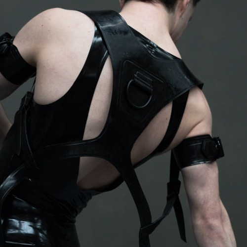 Rubber Backplate Harness — UNTITLEDrubber
