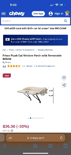 Window Seat for Ernie