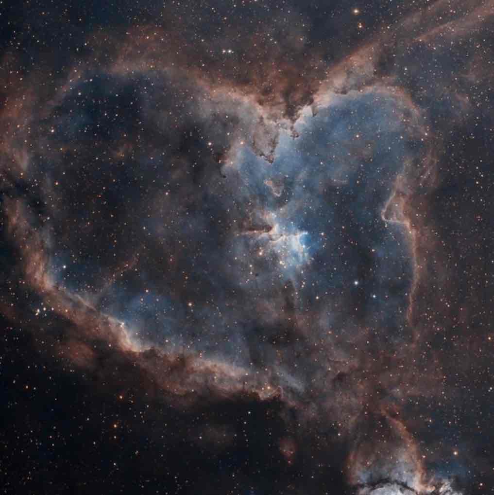 ⋆｡‧˚ʚ🎀Release🎀ɞ˚‧｡⋆