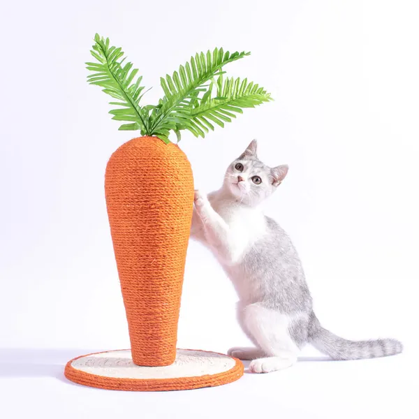 Cat Scratchers for Indoor Cats, Mini Cat Tree, Scratching Post, Carrot Cat Pole