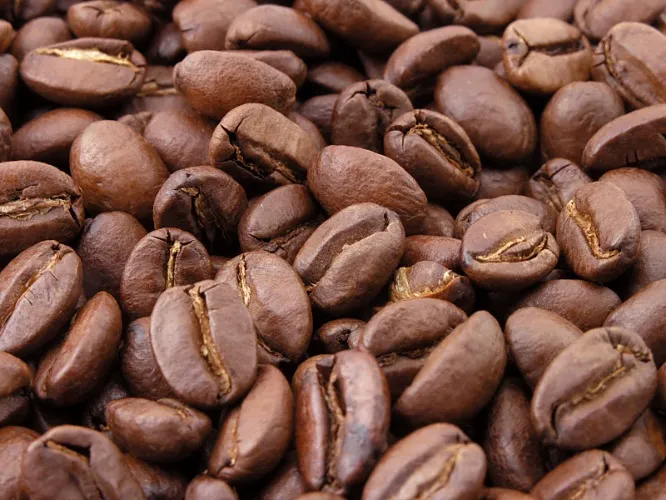2 lb Premium Coffee Beans