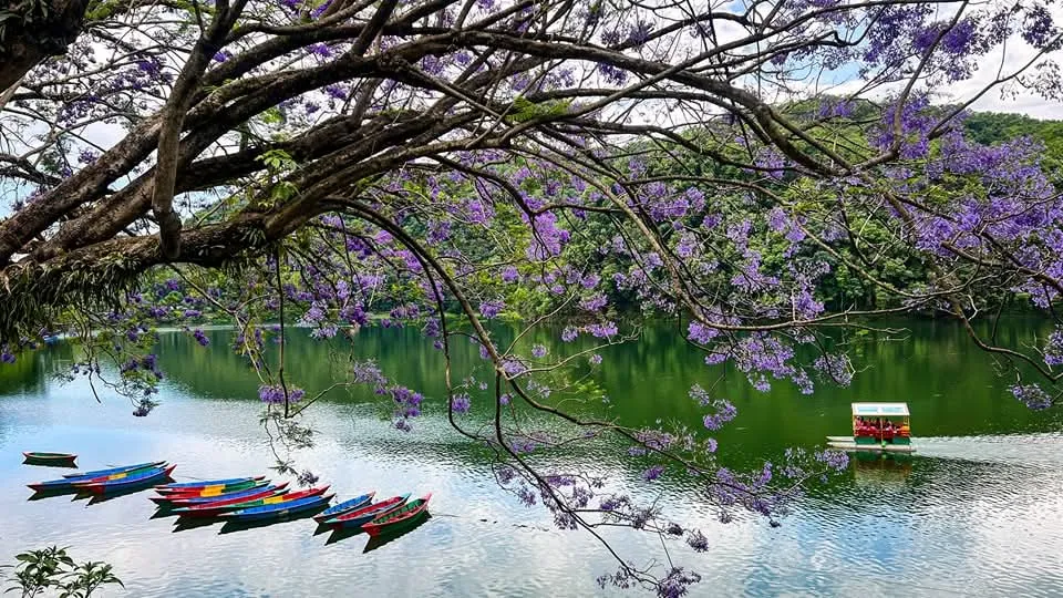 a little vacay with my gals