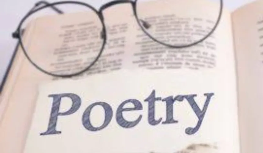 PAY FOR MY POETRY SKILLS