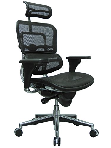 Ergohuman Eurotech GEN2 – High Back Black Mesh Office Chair with Adjustable and Flexible Lumbar Support – Headrest, Seat Slider, Armrests, and Height Adjustment - Black
