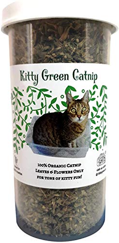 Organic Catnip by Kitty Green Grown in North America.